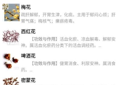 中草药宝典 - 全面的学习中药知识和中药文化